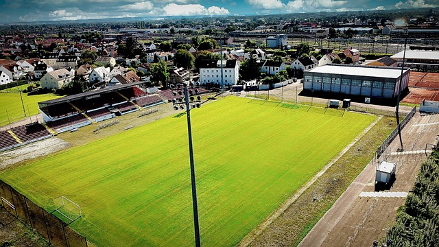 了急需的門 了急需的門