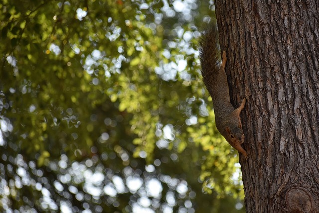 球队必须增 球队必须增