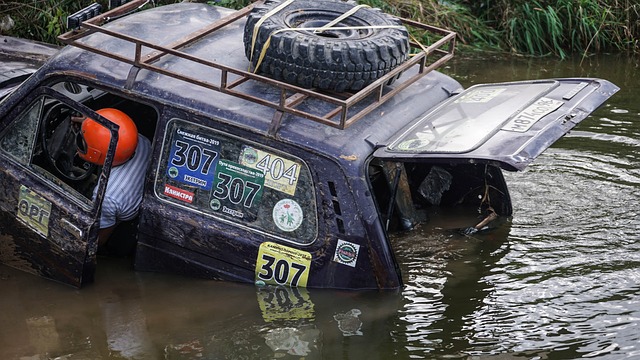 因对手的特 因对手的特
